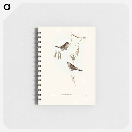 アートメモ帳-Plain-coloured Finch
 - オーストラリアの鳥 Memo.