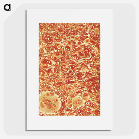 アートポスター-Decorative Paper from The History of Scotland
 - 大英図書館 Poster.