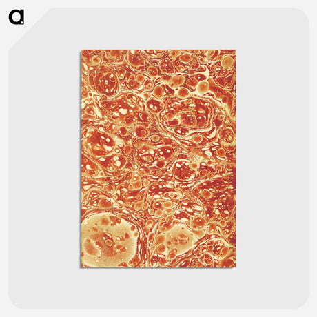 アートポストカード-Decorative Paper from The History of Scotland
 - 大英図書館 Postcard.