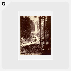 アートポストカード-Vernal Fall
 - エドワード マイブリッジ Postcard.
