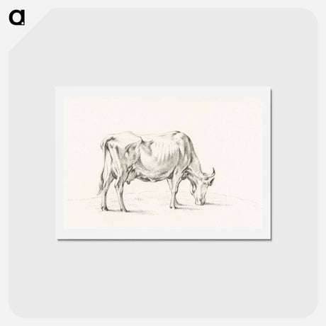 アートポストカード-Standing cow - ジャン ベルナール Postcard.