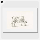 Standing cow - ジャン ベルナール Poster.