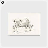 アートポストカード-Standing cow - ジャン ベルナール Postcard.