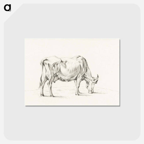 アートポストカード-Standing cow - ジャン ベルナール Postcard.