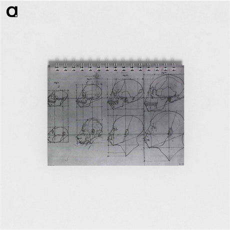 アートメモ帳-Evolution of the Head and Skull, Shown in Profile
 - 国立医学図書館 Memo.