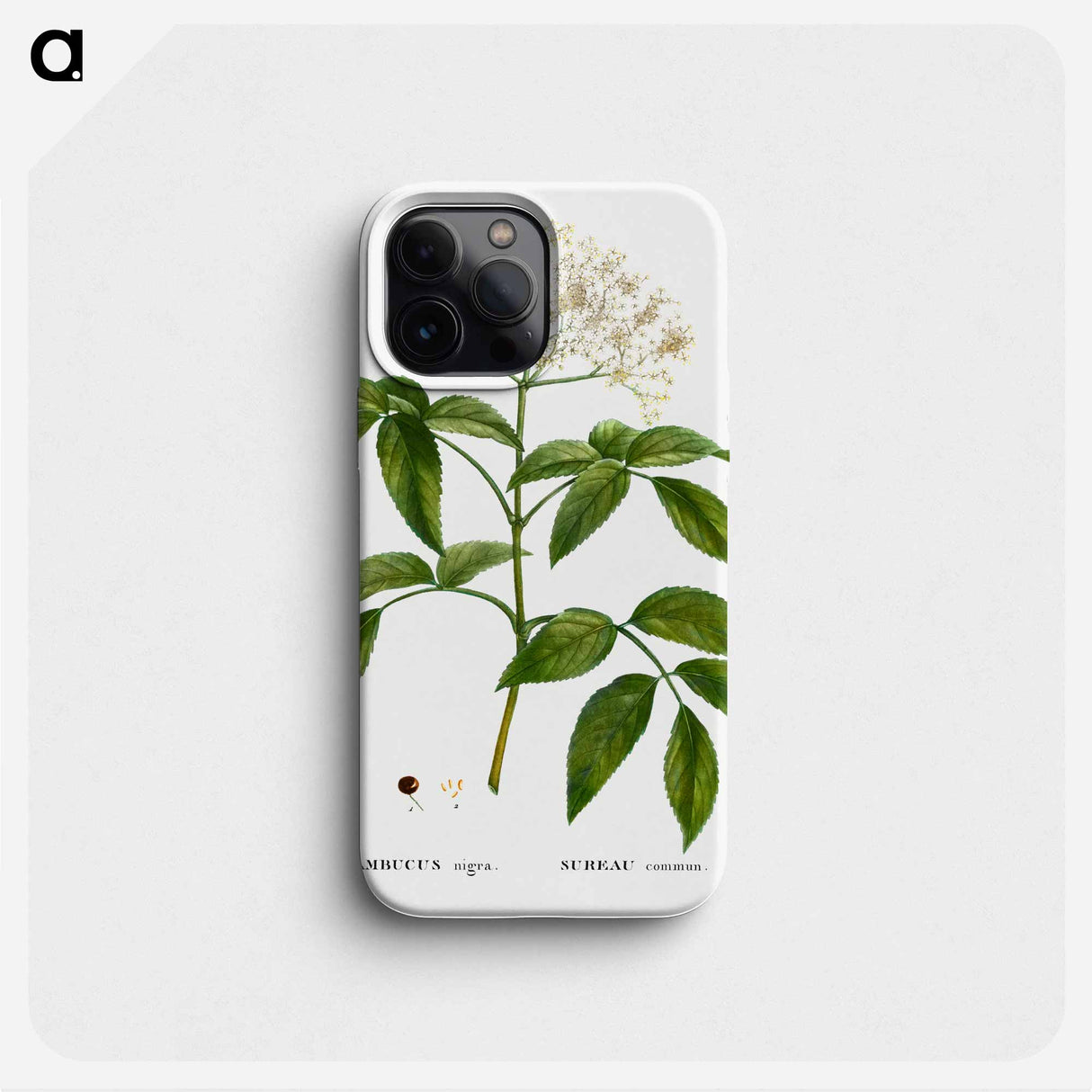 Elder (Sambucus nigra) - Pierre Joseph Redouté Phone Case.