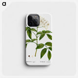 Elder (Sambucus nigra) - Pierre Joseph Redouté Phone Case.