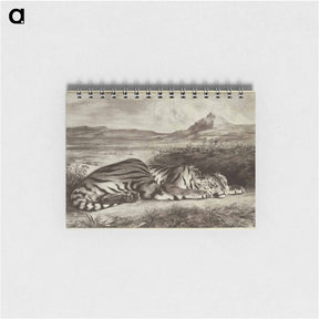 アートメモ帳-Royal Tiger
 - セントルイス美術館 Memo.