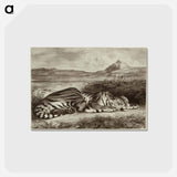 アートポストカード-Royal Tiger
 - セントルイス美術館 Postcard.