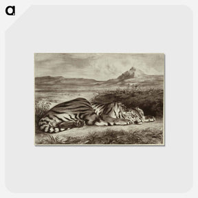 アートポストカード-Royal Tiger
 - セントルイス美術館 Postcard.