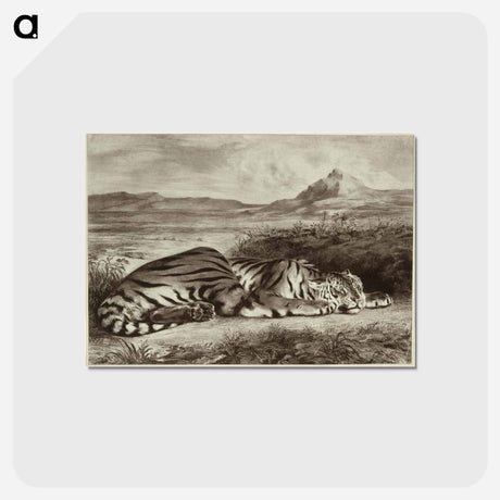 アートポストカード-Royal Tiger
 - セントルイス美術館 Postcard.