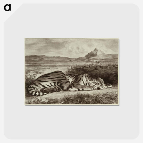 Royal Tiger
 - セントルイス美術館 Postcard.