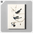 アートパネル-Snow Bird from Birds of America
 - アメリカの鳥たち Canvas.