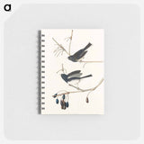 アートメモ帳-Snow Bird from Birds of America
 - アメリカの鳥たち Memo.