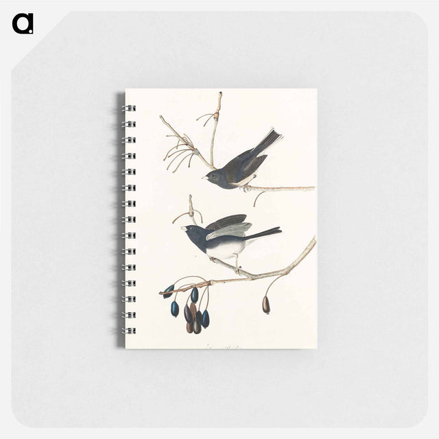 アートメモ帳-Snow Bird from Birds of America
 - アメリカの鳥たち Memo.