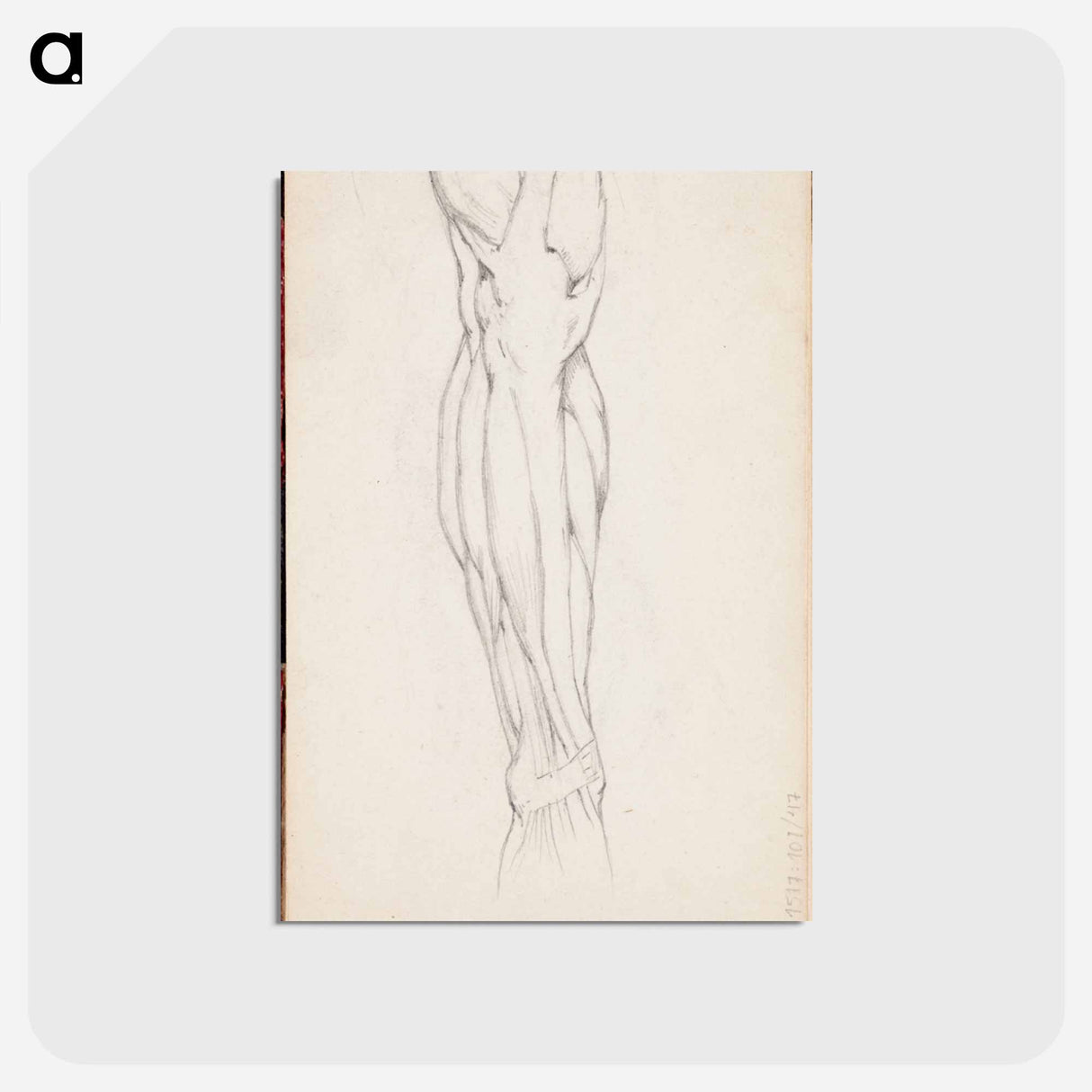 アートポストカード-(unknown)part of a sketchbook - アルバート エーデルフェルト Postcard.