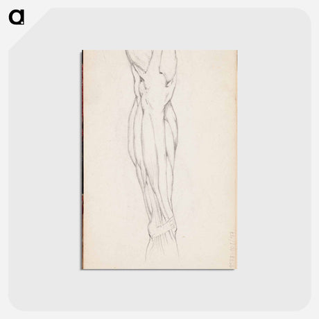 アートポストカード-(unknown)part of a sketchbook - アルバート エーデルフェルト Postcard.