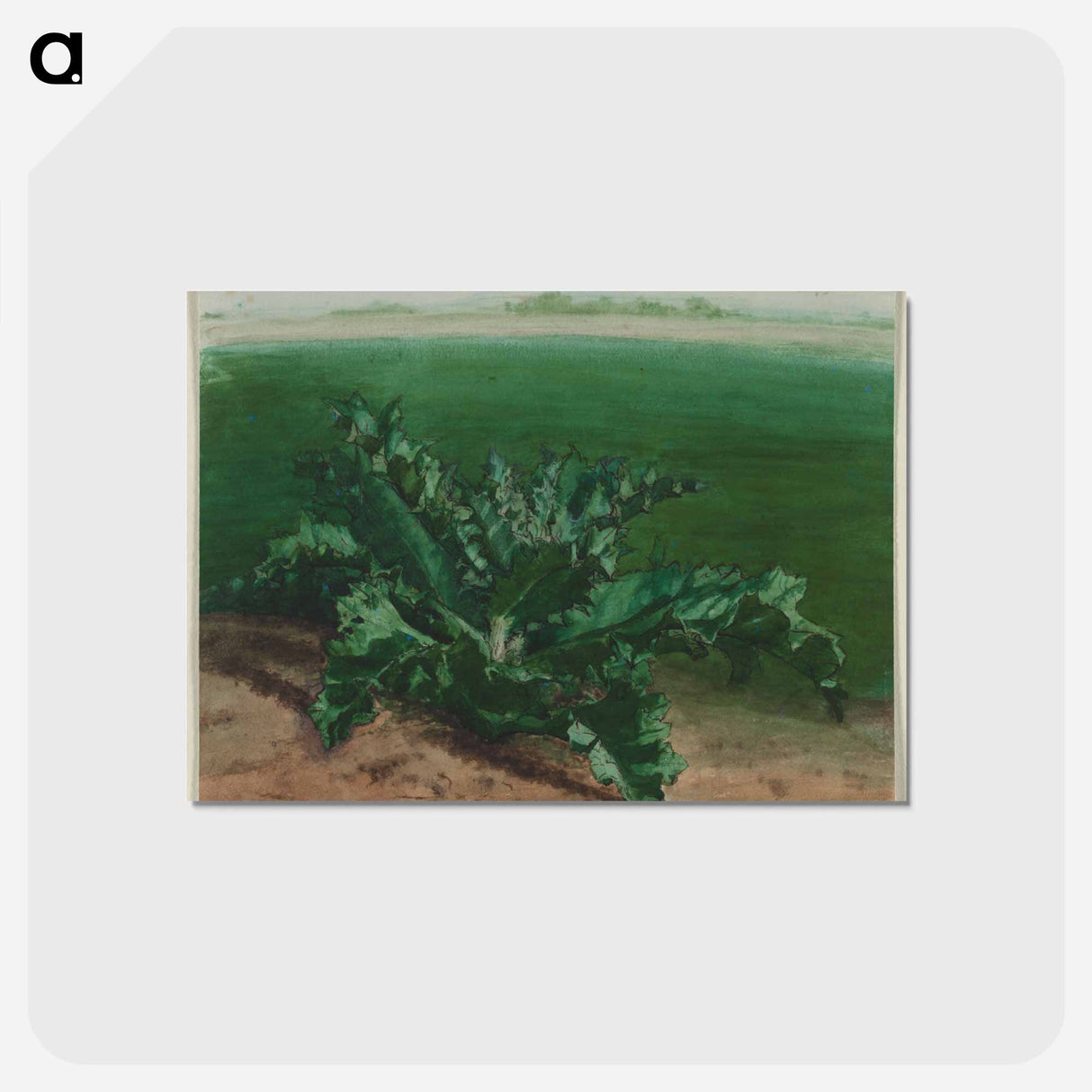 アートポストカード-Cleveland Museum of Art
 - クリーブランド美術館 Postcard.