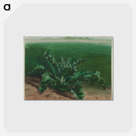 アートポストカード-Cleveland Museum of Art
 - クリーブランド美術館 Postcard.