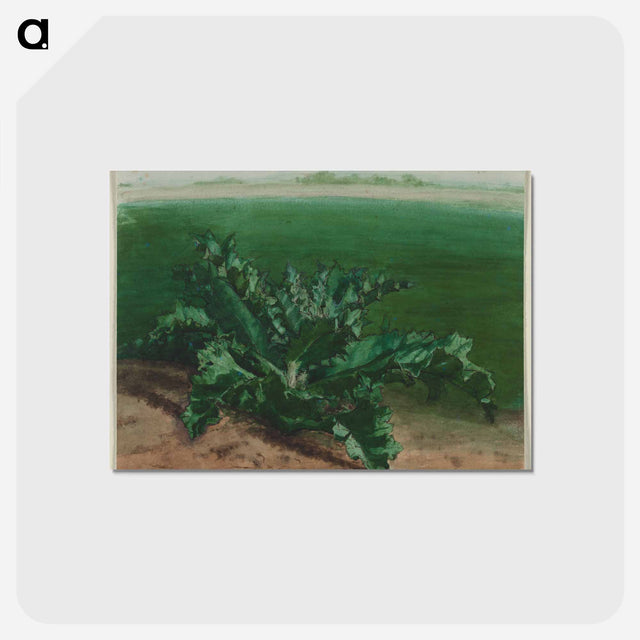 アートポストカード-Cleveland Museum of Art
 - クリーブランド美術館 Postcard.