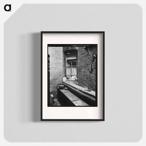 アートポスター-One of the rear windows, tenement dwelling of Mr. and Mrs. Jacob Solomon - ドロテア ラング Poster.