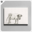 アートパネル-Standing cow - ジャン ベルナール Canvas.