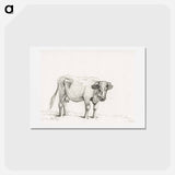アートポストカード-Standing cow - ジャン ベルナール Postcard.
