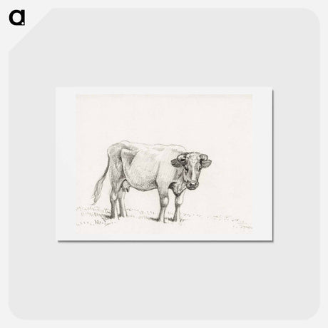 アートポストカード-Standing cow - ジャン ベルナール Postcard.