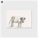 アートポストカード-Standing cow - ジャン ベルナール Postcard.
