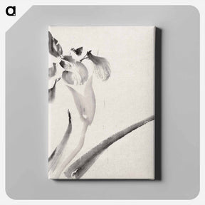 アートパネル-Album of Sketches by Katsushika Hokusai and His Disciples - 葛飾 北斎 Canvas.