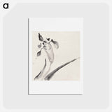 アートポストカード-Album of Sketches by Katsushika Hokusai and His Disciples - 葛飾 北斎 Postcard.