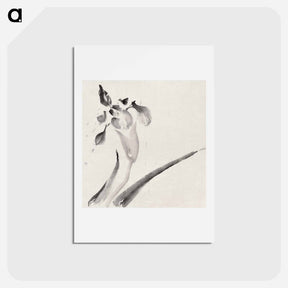 アートポストカード-Album of Sketches by Katsushika Hokusai and His Disciples - 葛飾 北斎 Postcard.