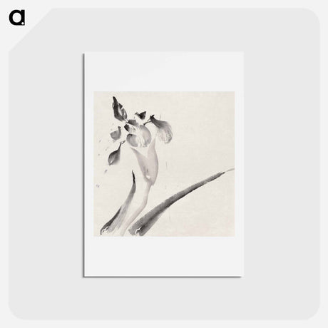 アートポストカード-Album of Sketches by Katsushika Hokusai and His Disciples - 葛飾 北斎 Postcard.