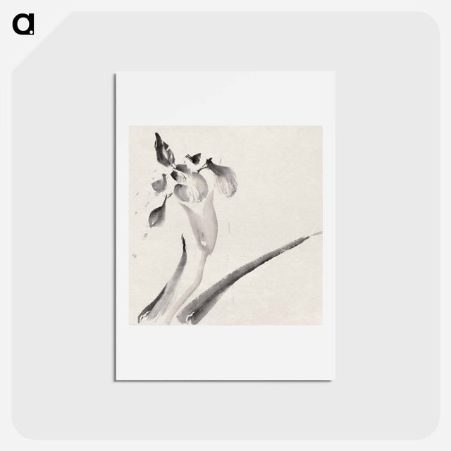 アートポストカード-Album of Sketches by Katsushika Hokusai and His Disciples - 葛飾 北斎 Postcard.