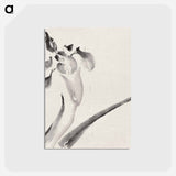 アートポストカード-Album of Sketches by Katsushika Hokusai and His Disciples - 葛飾 北斎 Postcard.