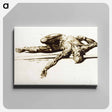 アートパネル-Muscles
 - 国立医学図書館 Canvas.