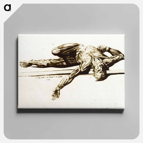 アートパネル-Muscles
 - 国立医学図書館 Canvas.