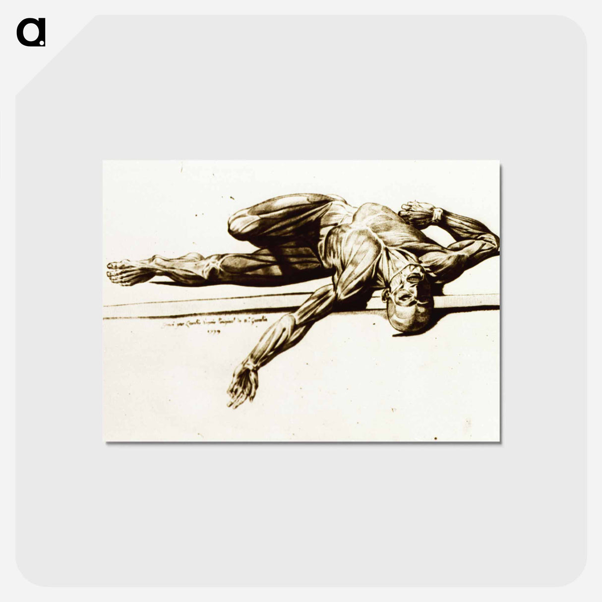 アートポストカード-Muscles
 - 国立医学図書館 Postcard.