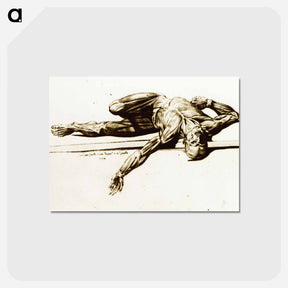 アートポストカード-Muscles
 - 国立医学図書館 Postcard.