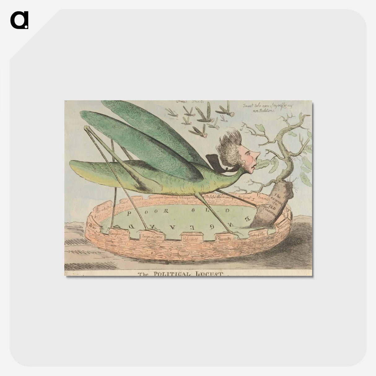 アートポストカード-The Political Locust
 - イェール大学アートギャラリー Postcard.