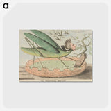 アートポストカード-The Political Locust
 - イェール大学アートギャラリー Postcard.
