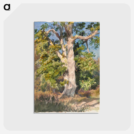 アートポストカード-Cleveland Museum of Art
 - クリーブランド美術館 Postcard.