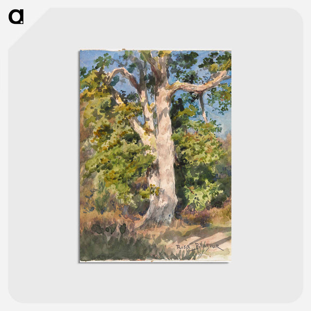 アートポストカード-Cleveland Museum of Art
 - クリーブランド美術館 Postcard.