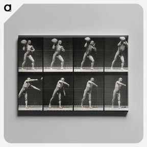 アートパネル-Man Throwing a Boulder
 - エドワード マイブリッジ Canvas.