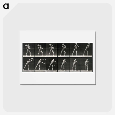 アートポストカード-Man Throwing a Boulder
 - エドワード マイブリッジ Postcard.