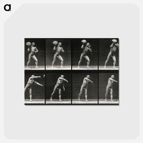 アートポストカード-Man Throwing a Boulder
 - エドワード マイブリッジ Postcard.