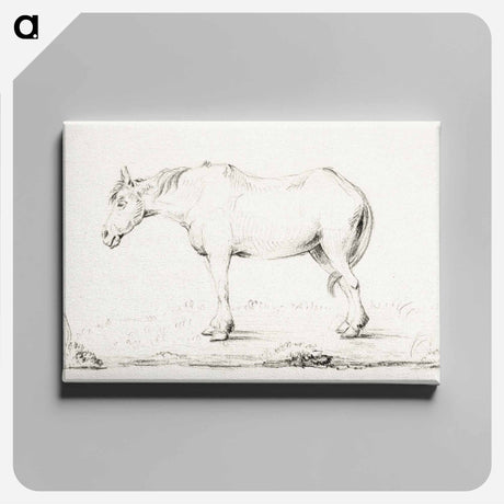 アートパネル-Standing horse - ジャン ベルナール Canvas.