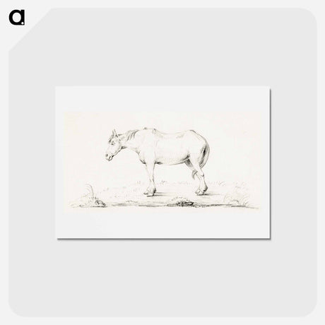 アートポストカード-Standing horse - ジャン ベルナール Postcard.