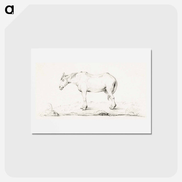 アートポストカード-Standing horse - ジャン ベルナール Postcard.