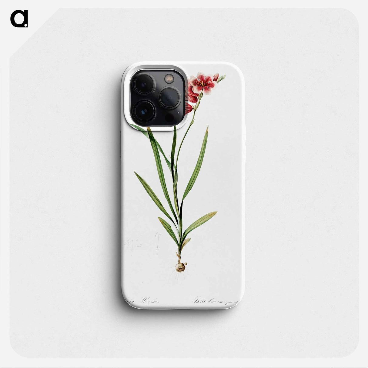 Ixia hyalina - Pierre Joseph Redouté Phone Case.